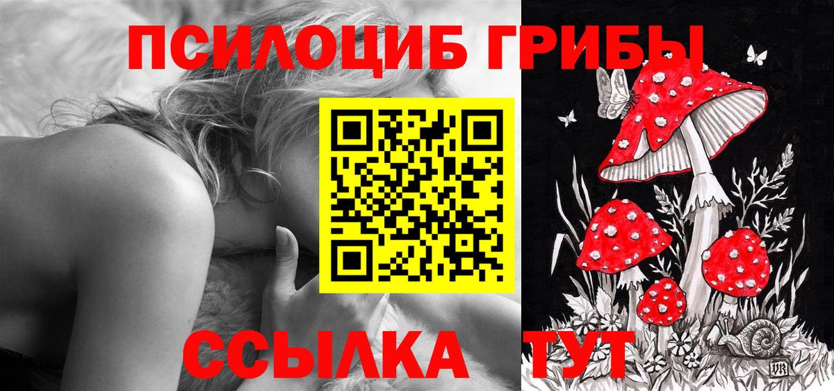 Псилоцибиновые грибы прущие грибы Большой Камень